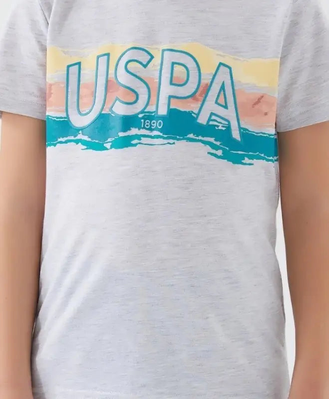 USPA görselli gri tişört.