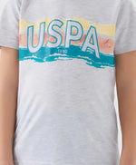 USPA görselli gri tişört.